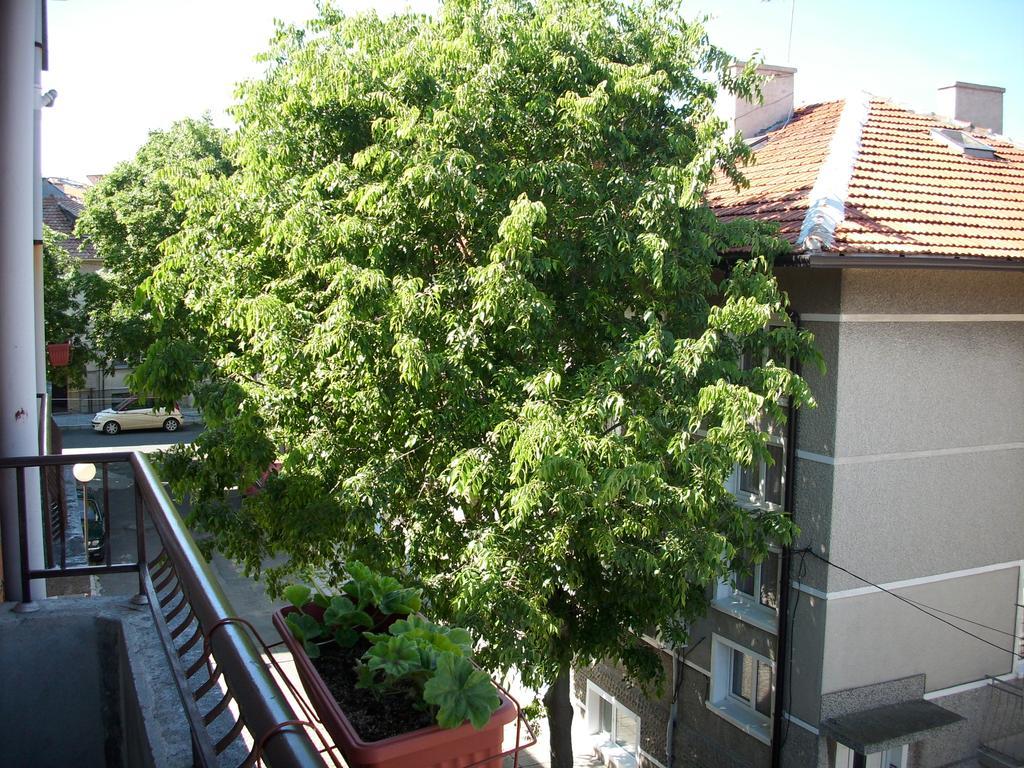 Georgievi Guest House Pomorie Bagian luar foto
